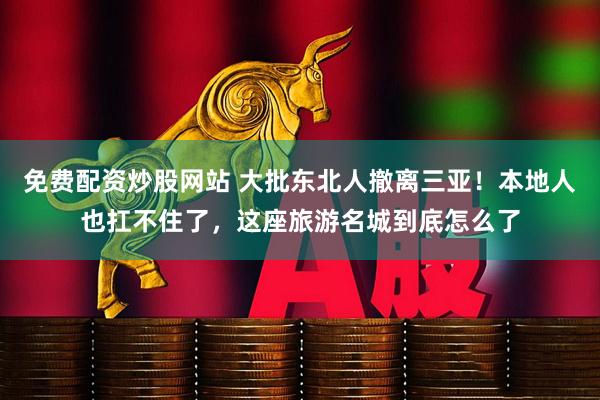 免费配资炒股网站 大批东北人撤离三亚！本地人也扛不住了，这座旅游名城到底怎么了